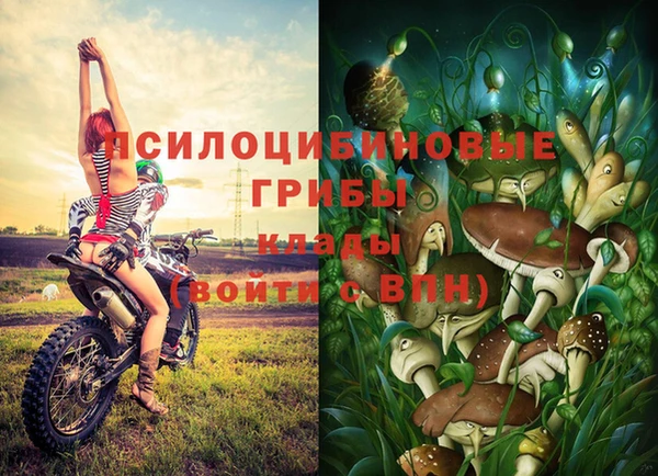 spice Няндома
