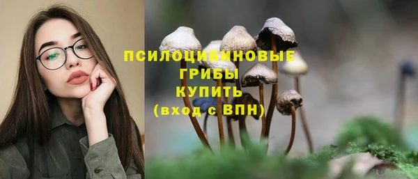 a pvp Нязепетровск