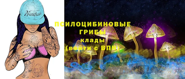 a pvp Нязепетровск