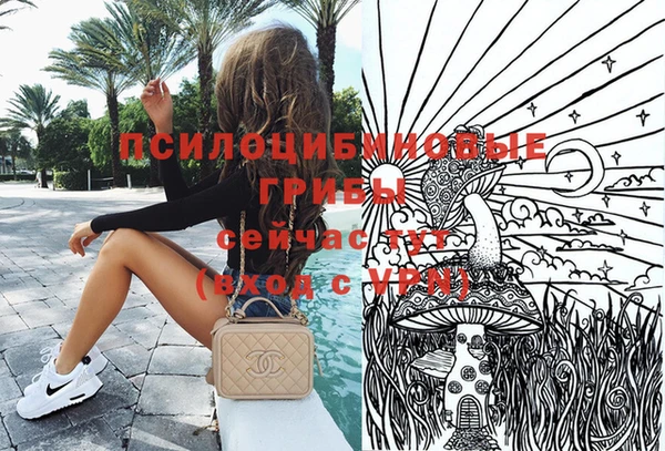 spice Няндома