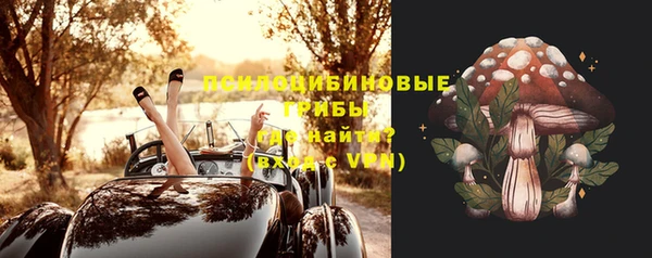 spice Няндома