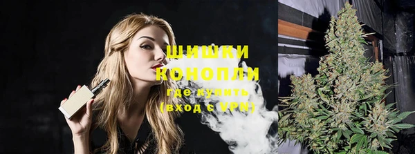 spice Няндома