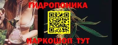 прущие крисы Волжск