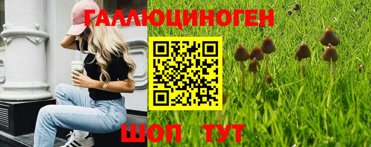Псилоцибиновые грибы MAGIC MUSHROOMS Лабинск